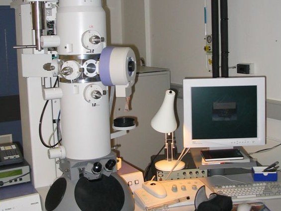Electron microscope image Electron microscope